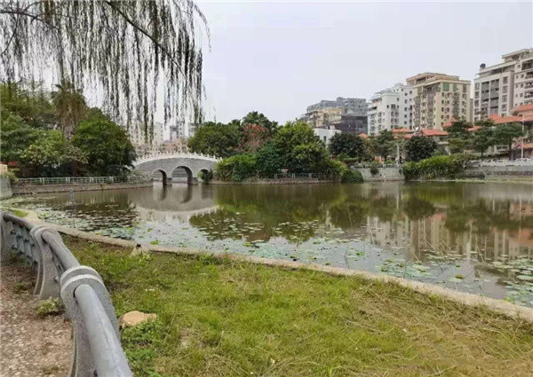 实景图 