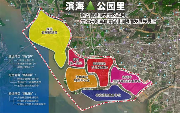 虎门滨海公园里 