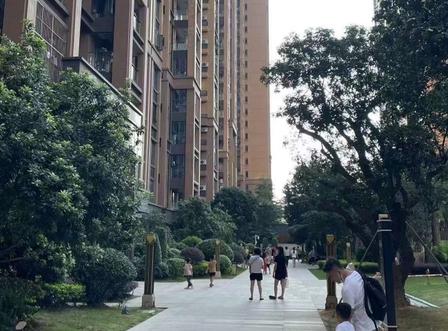 宝安润科华俯 