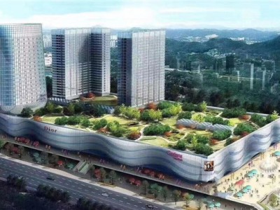 突发！深圳市停止审批新的商务公寓用地！（附官方解读）
