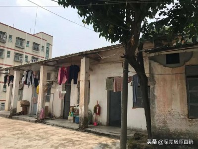 买了观澜牛湖拆迁房《牛湖新城》朋友，你上当受骗了吗？